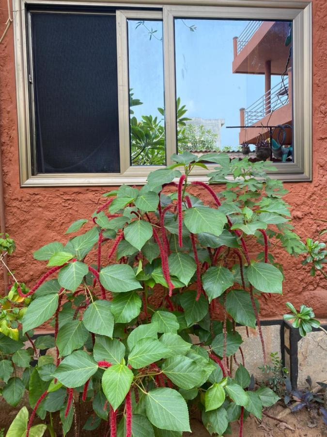 Résidences Ouadada Porto Novo Exterior foto